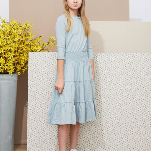 Blue Dress with Roche Waist and Tired Bottom