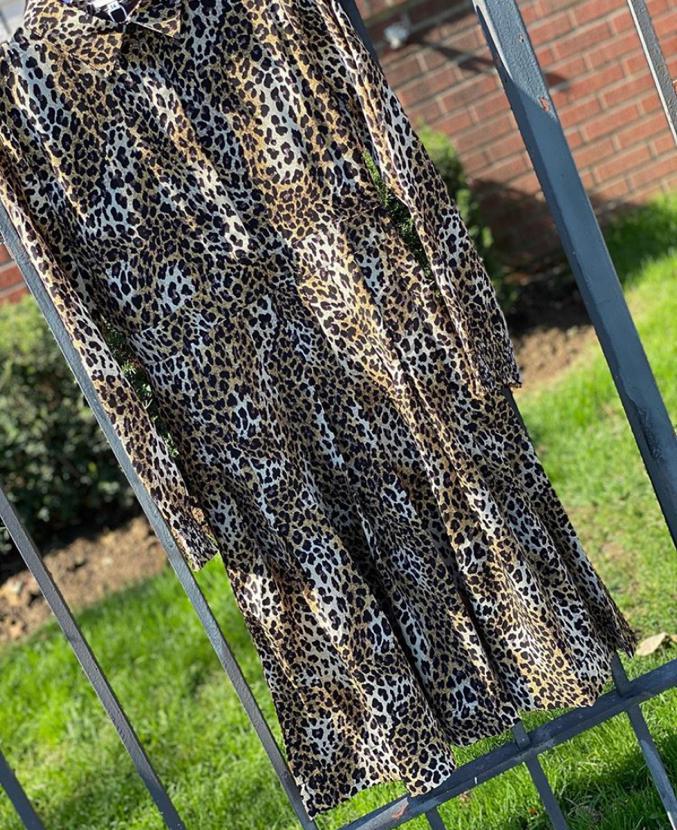 Asiatic Detail Pleat Dress