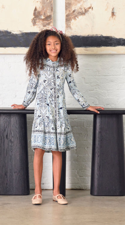 BABY BLUE PAISLEY DRESS