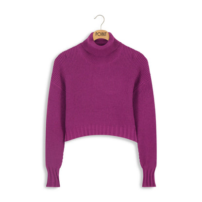 POINT CHENILLE TURTLNECK