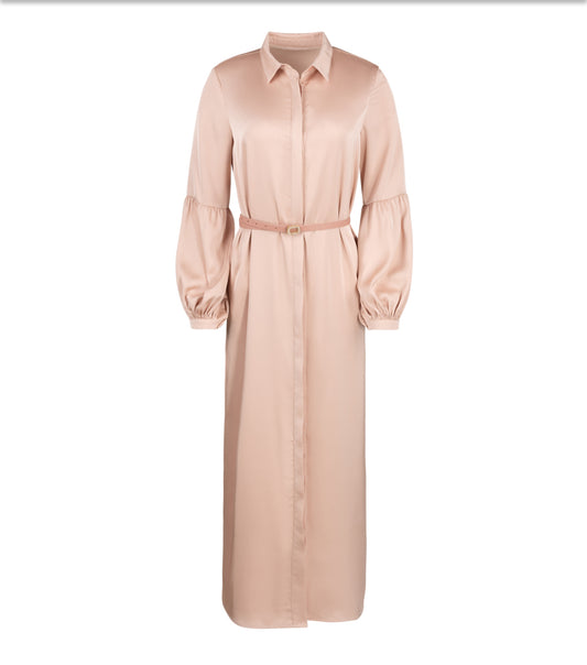 SILKY BALLON SLEEVE DRESS