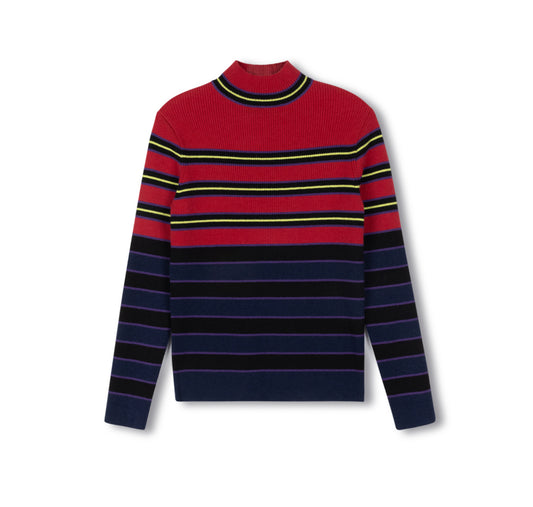STRIPED MULTI COLORED KNIT TURTLENECK