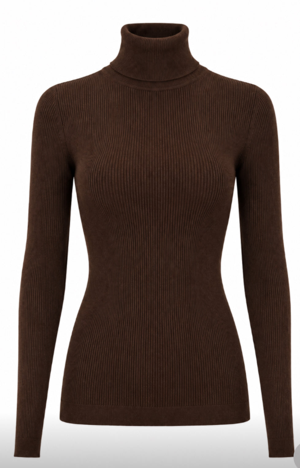 RIB KNIT TOP-WITH TURTLE NECK