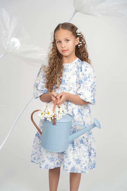 TOILE PLEAT DRESS