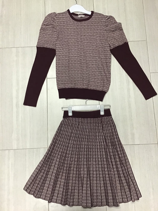 Multi Color Sweater And Skirt Set