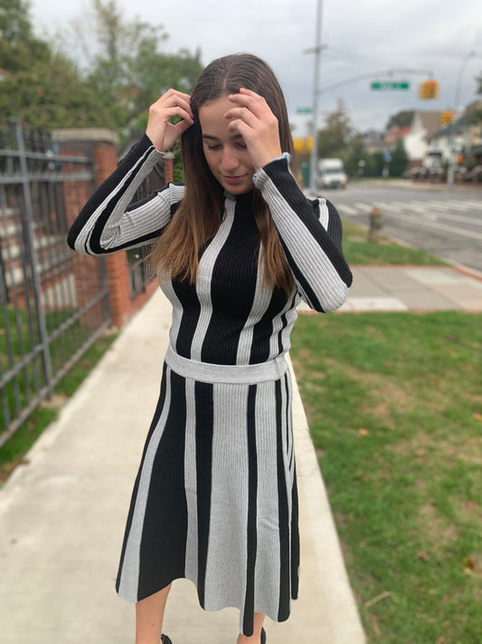 Ribbed Stripe Shimmer Turtleneck - Set