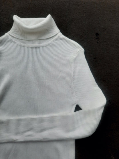 The Basic Ribbed Turtleneck