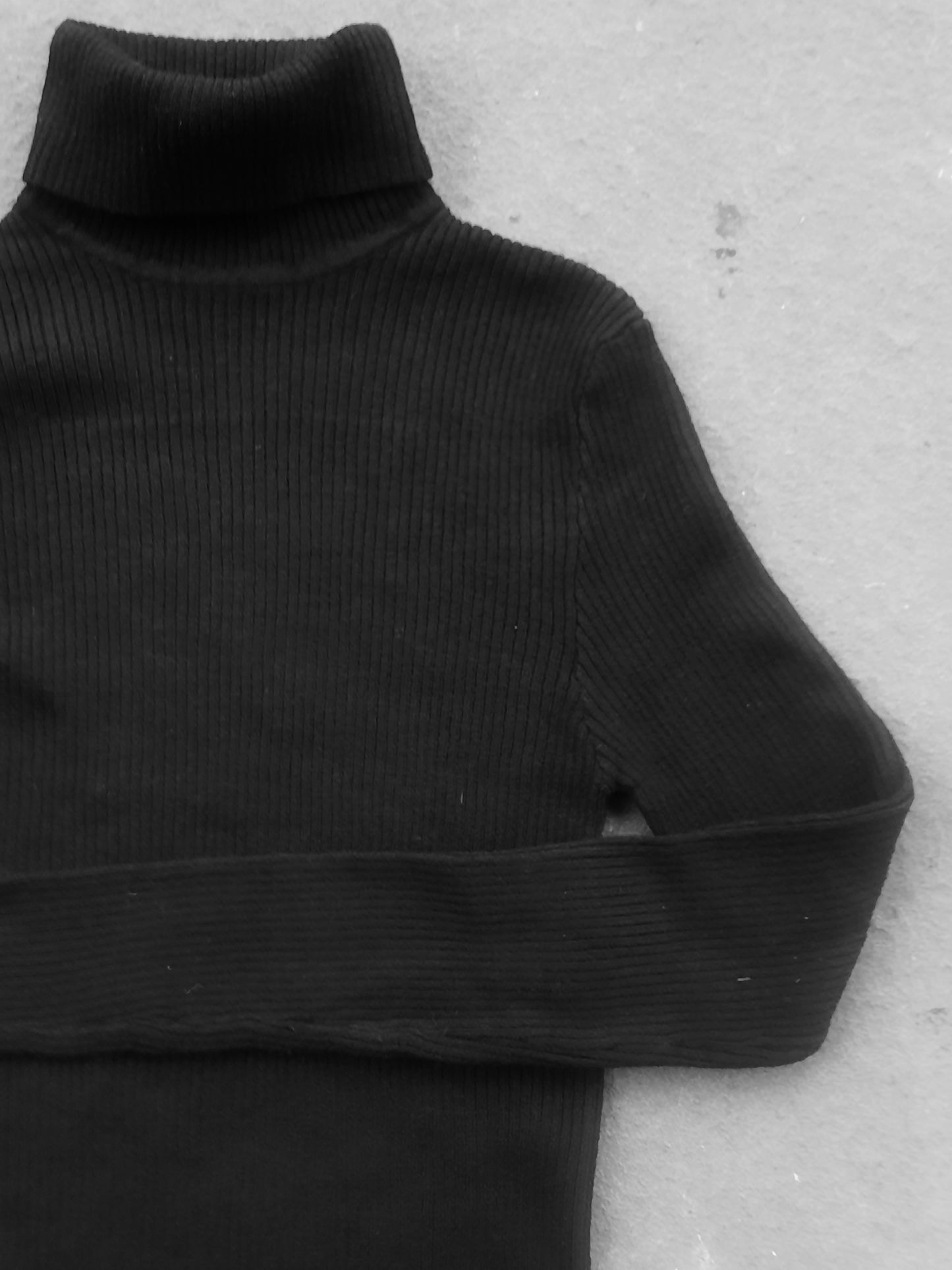 The Basic Ribbed Turtleneck