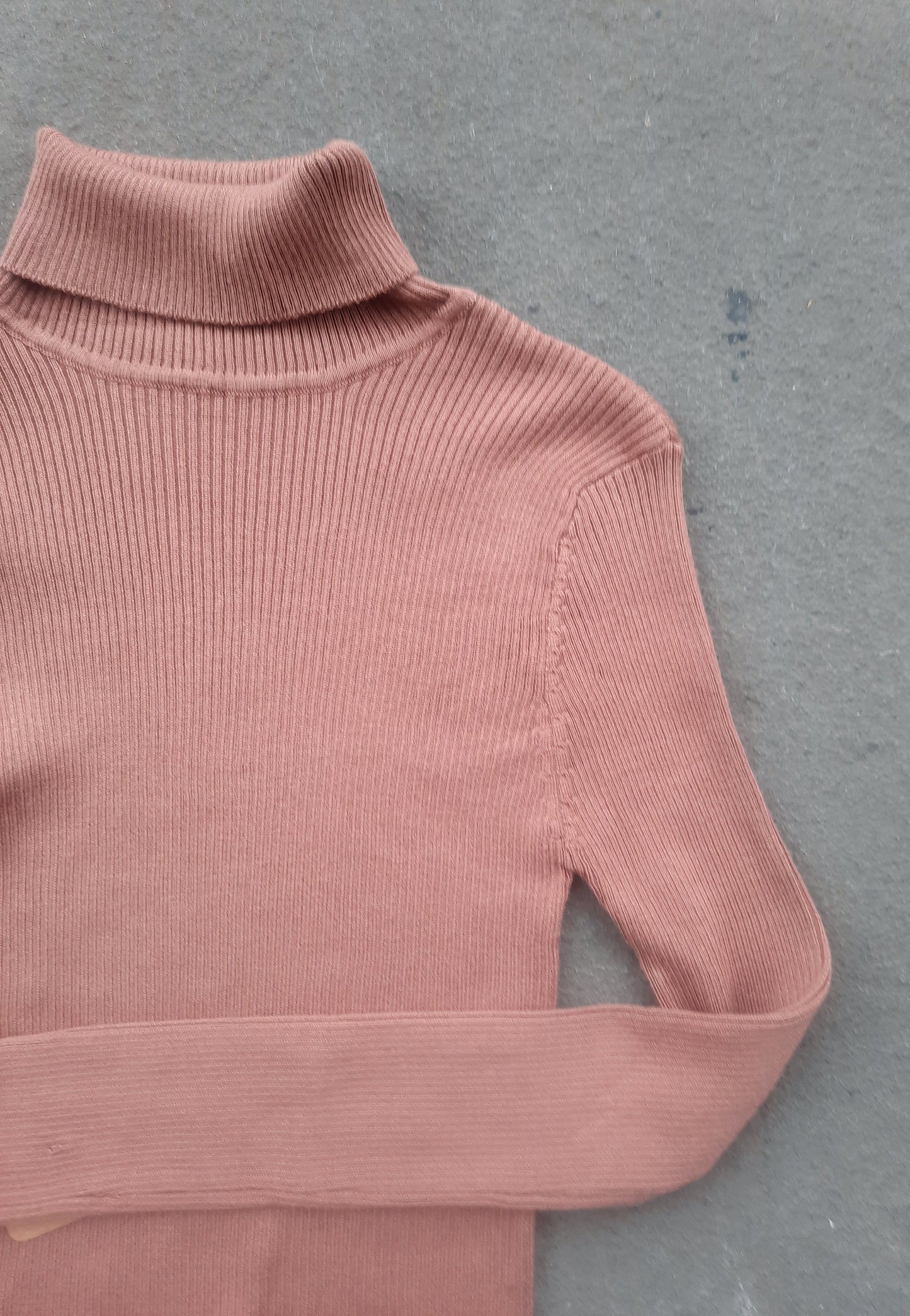 The Basic Ribbed Turtleneck