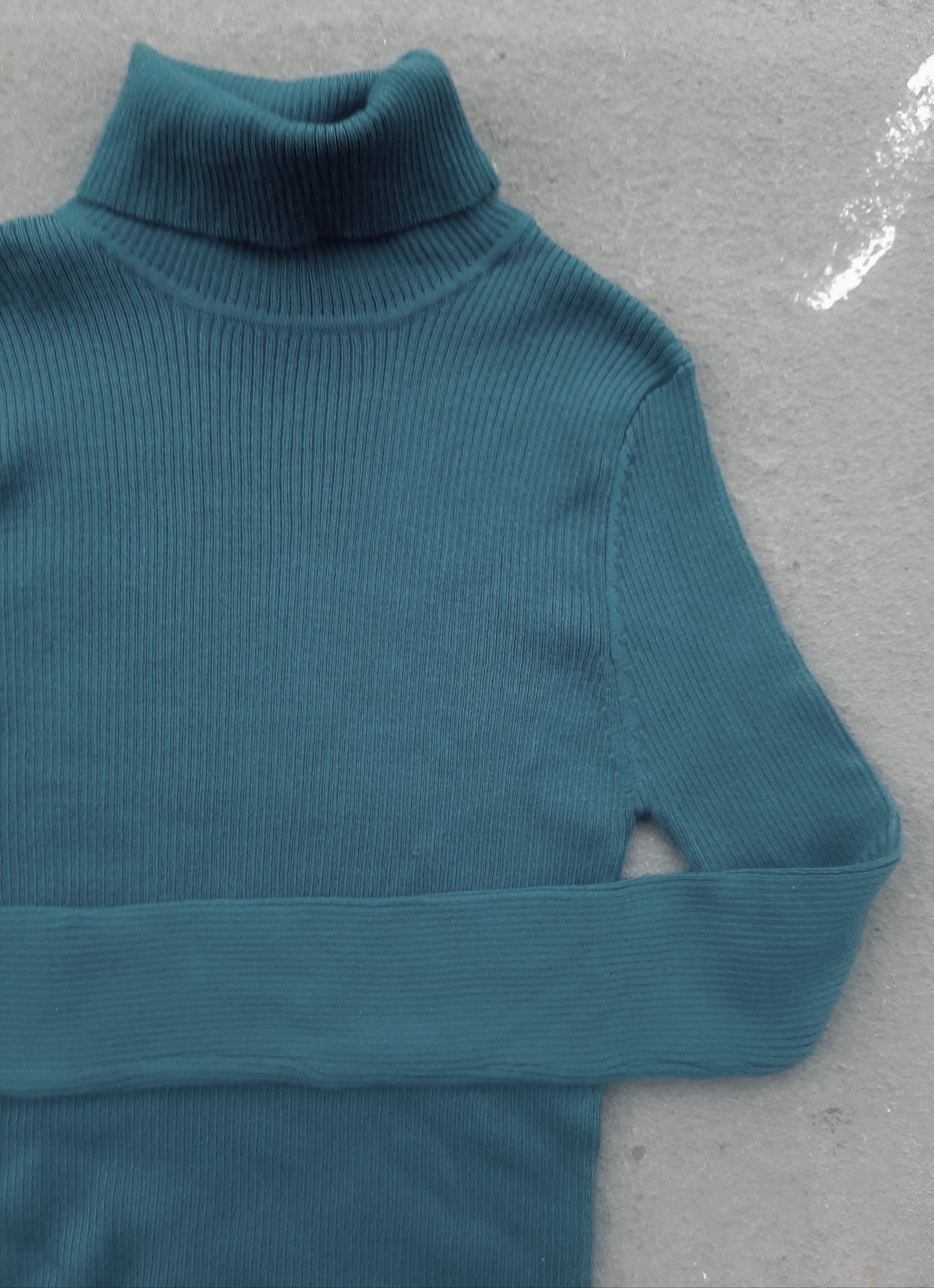 The Basic Ribbed Turtleneck