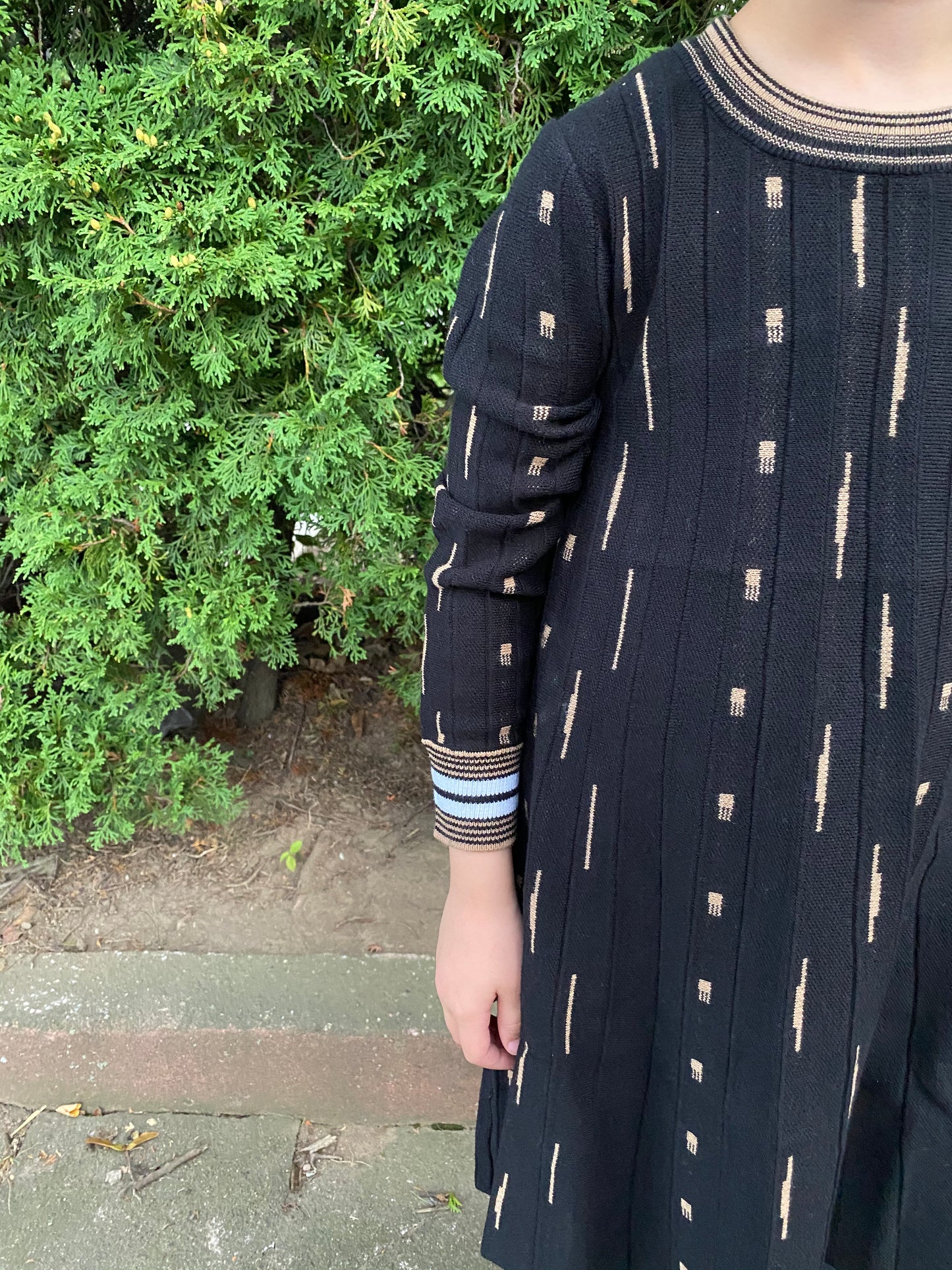 Dash Printed Knit Dress