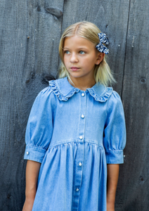 DENIM COLLAR BABYDOLL DRESS