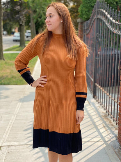 Thick Ribbed Sweater Dress